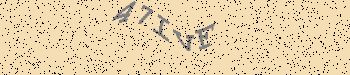 An error has occurred while getting captcha image