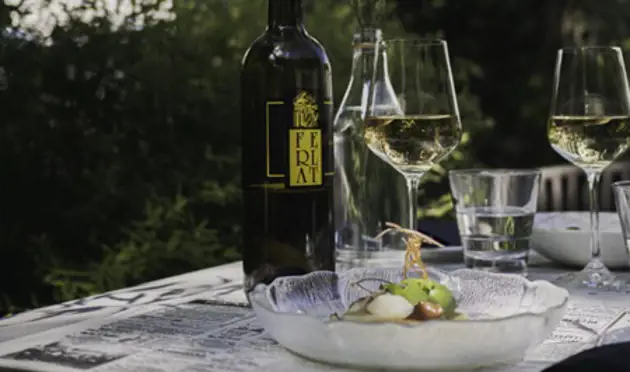 Wine bottle and food on a table in a garden