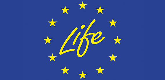 A cooperation between Valmet, Hera Group and Ayrion for the EU-financed Life Steam project