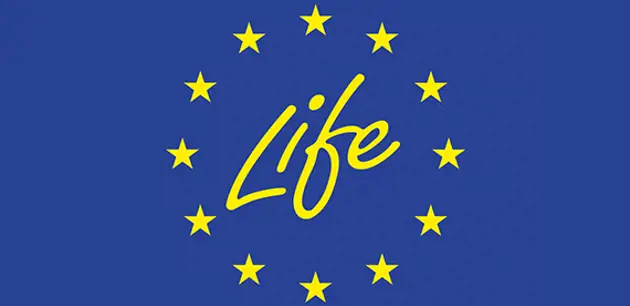 A cooperation between Valmet, Hera Group and Ayrion for the EU-financed Life Steam project