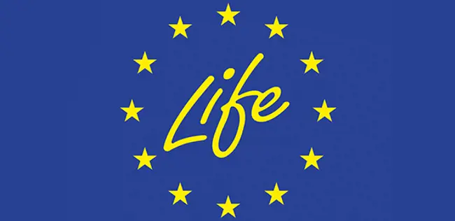 A cooperation between Valmet, Hera Group and Ayrion for the EU-financed Life Steam project