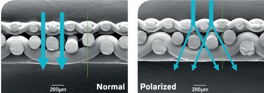 Normal vs. polarized warp structure