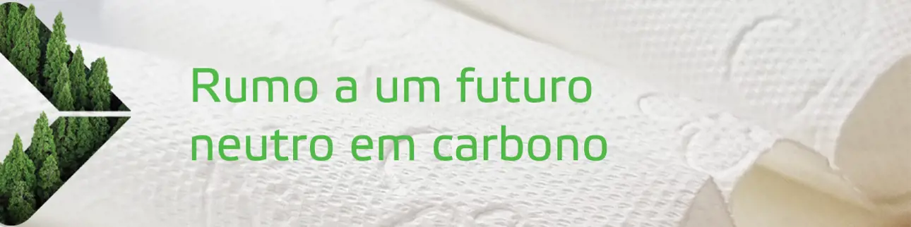 sustentabilidade para tissue.png
