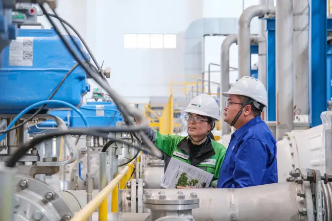 Liansheng and Neles™ valves: flow control excellence for the pulping and papermaking industry