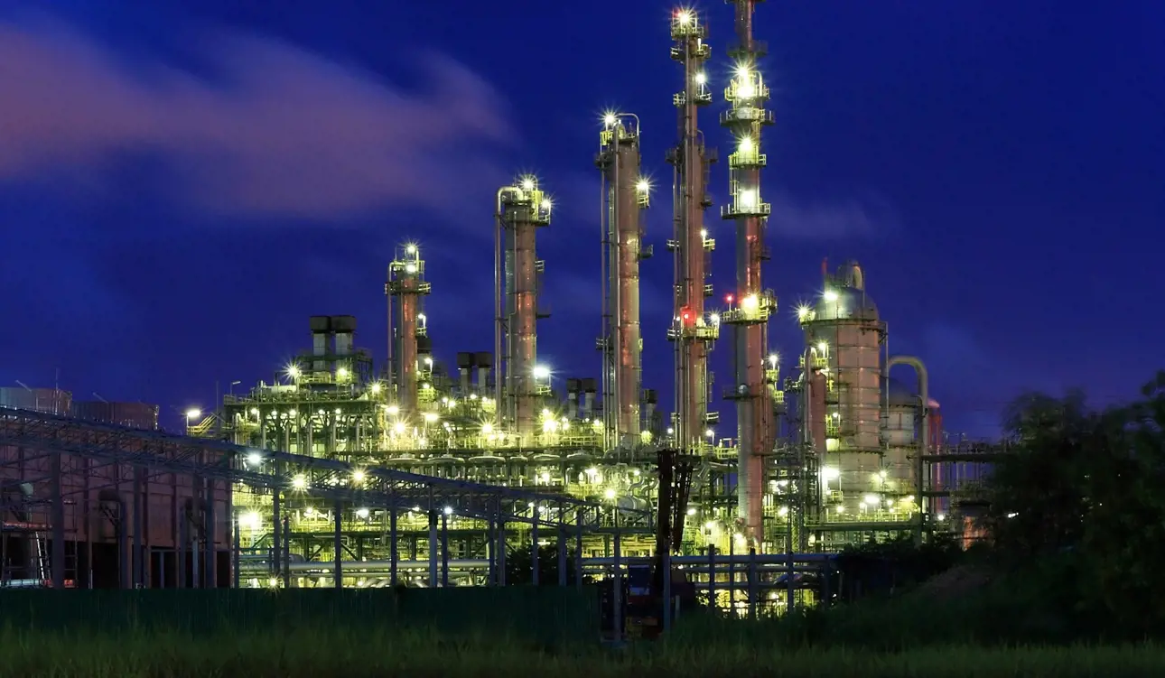 night at plant
