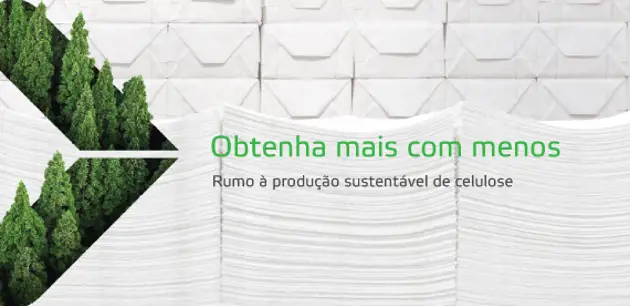 Rumo à produção de celulose mais sustentável