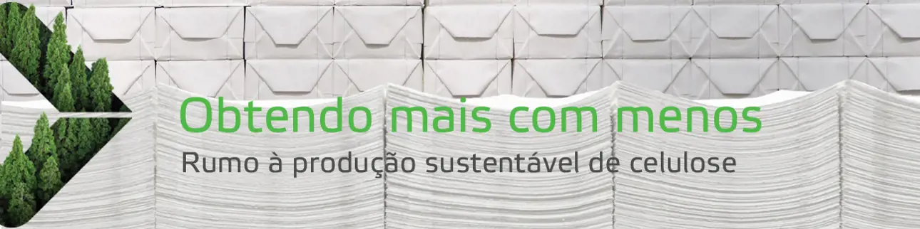sustentabilidade para celulose2.png