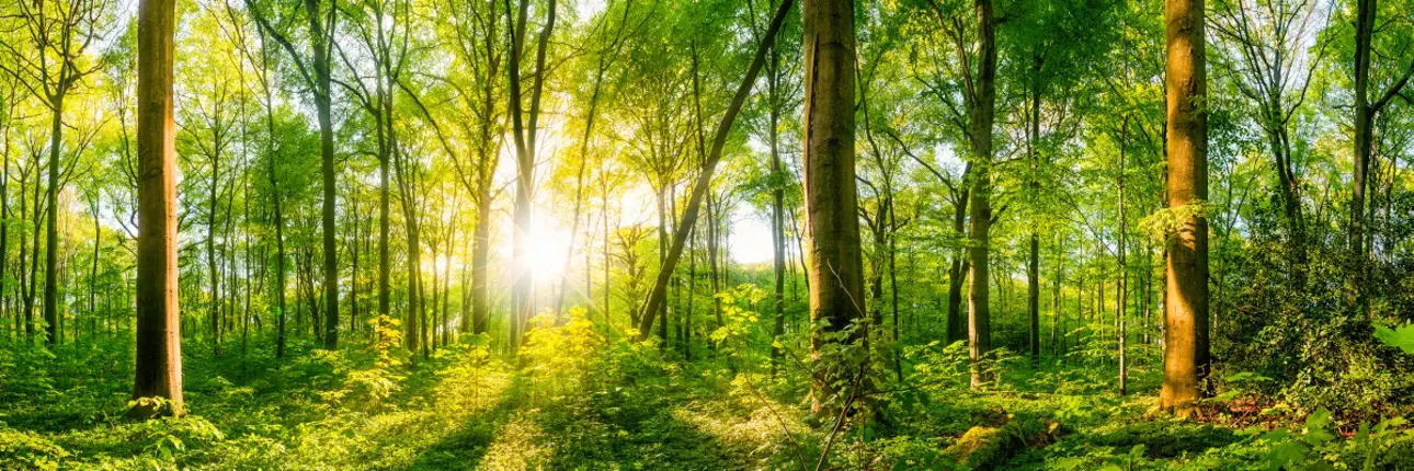 Agenda Sustentabilidade 360º
