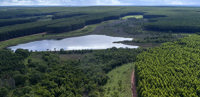 Valmet to supply the world’s largest pulp mill with full-scope Valmet DNAe automation system