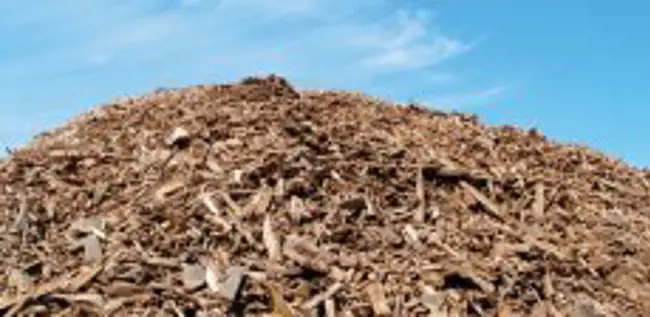 Eneco Bio Golden Raand: green energy with recycled wood chips