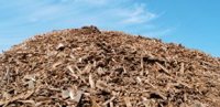 Eneco Bio Golden Raand: green energy with recycled wood chips