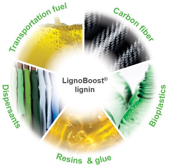 Uses Of Lignin