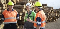 Improved performance through cooperation in Whakatane Mill