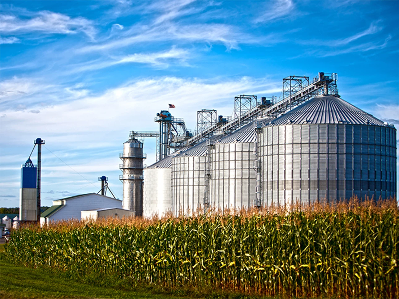 Silos en un campo de maíz