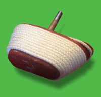 Plug with replaceable cord
