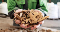 Recycling MDF – A new era of sustainable materials