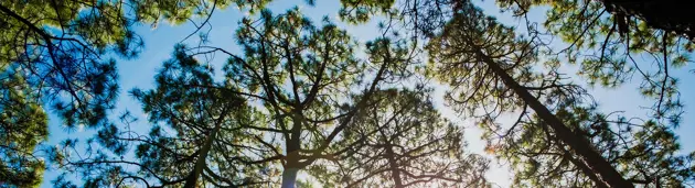 Advance circularity with our biomaterial solutions and services