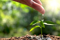 Beyond Circularity: Valmet Impulsa la innovación hacia un futuro sostenible