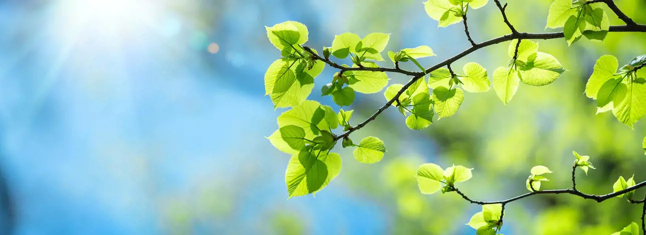 AdobeStock_601533681.jpg