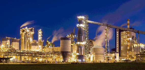 Pulp and Energy business line