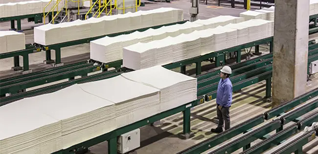 Data helps CMPC Guaíba make decisions
