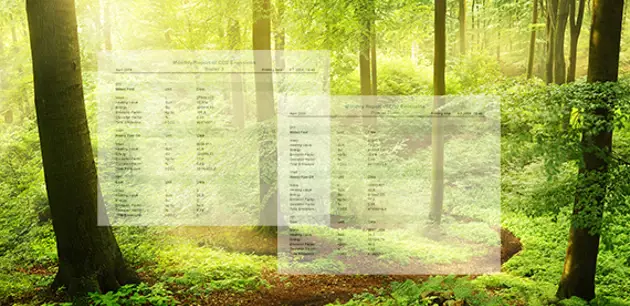 CO2 monitoring