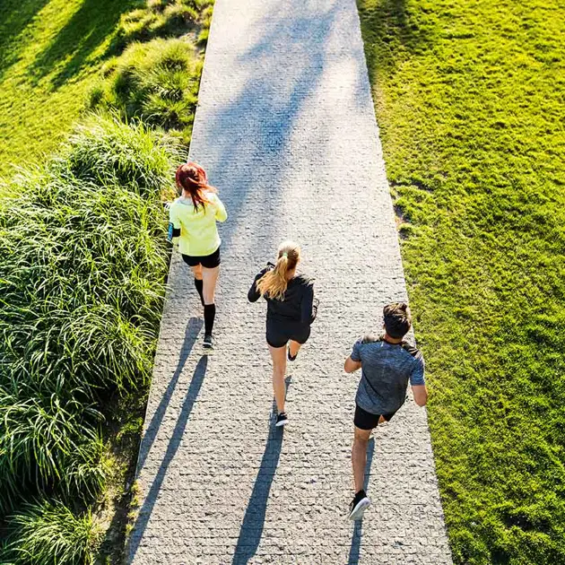 Together towards a regenerative tomorrow