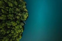 Sustainability