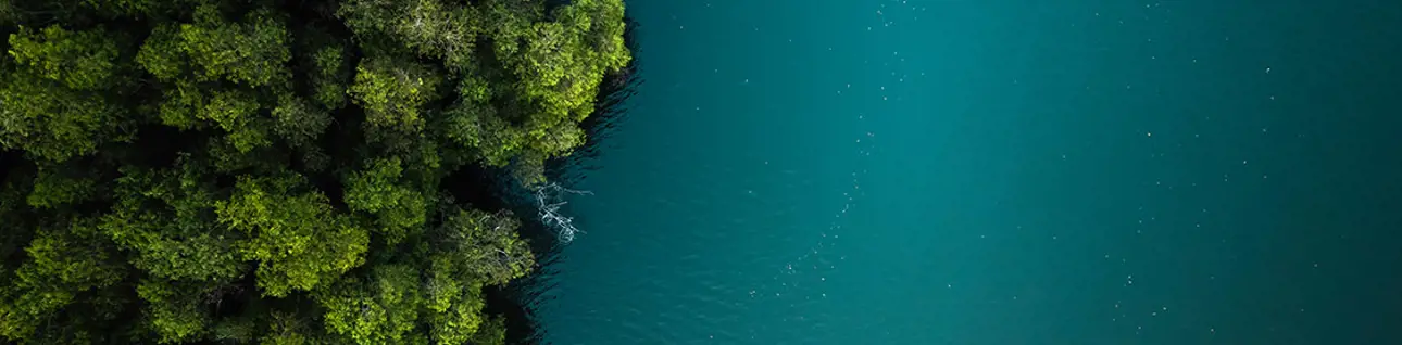 water-and-forest-from-air.jpg