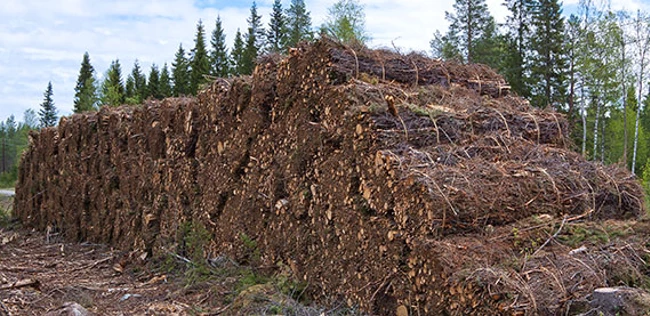 Wood handling for biomass-to-energy