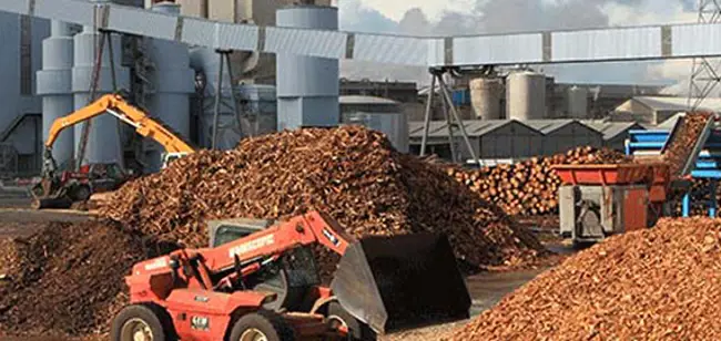 Biomass to Energy