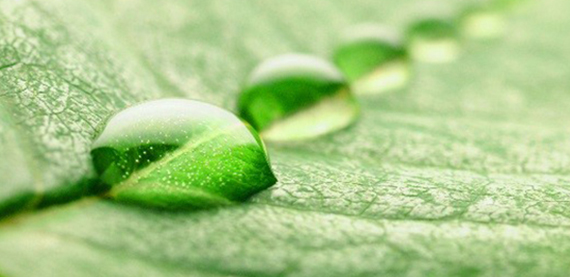 Valmet's solution for CO2 reporting according to European Union Emission Trading Directive