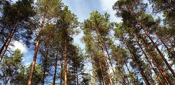 Valmet's emission monitoring and reporting solution for large combustion plants