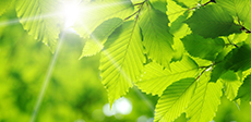 Valmet's emission monitoring and reporting solutions help you to achieve your goals and meet the environmental legislation