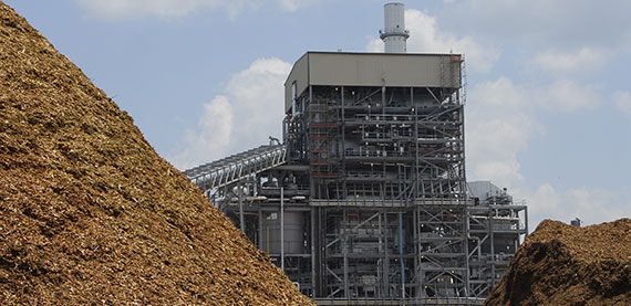 Efficient energy conversion of a wide range of biomass in Nagocdoches, USA