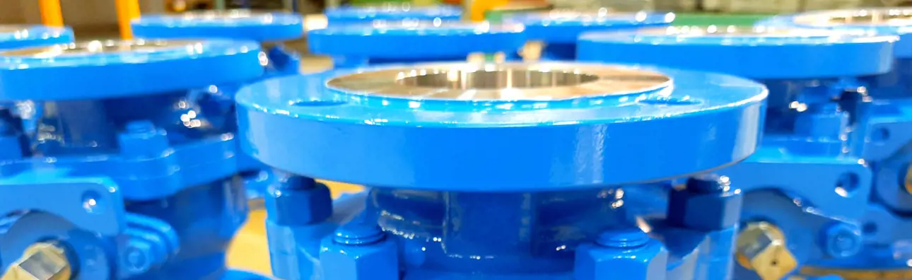 neles-easyflow-valves.jpg