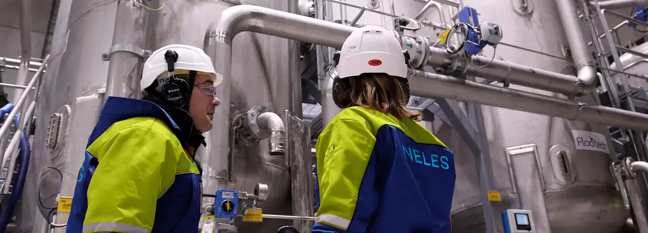 Nelesläiset tehtaalla