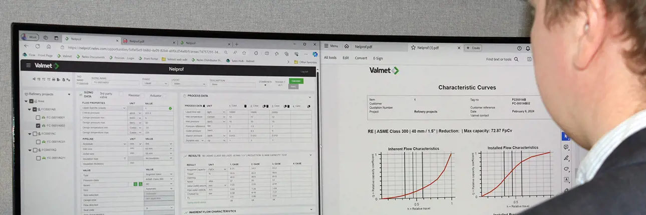 nelprof-sizing-and-selection-software.jpg