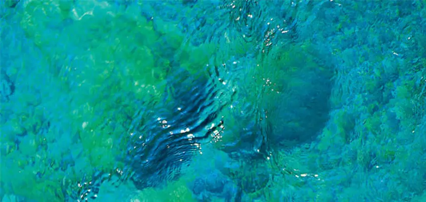 Wastewater-cover-picture.jpg
