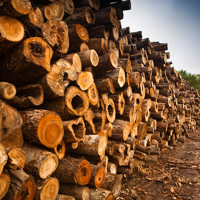 Seven steps for designing, implementing and measuring impactful environmental initiatives in board and paper mills