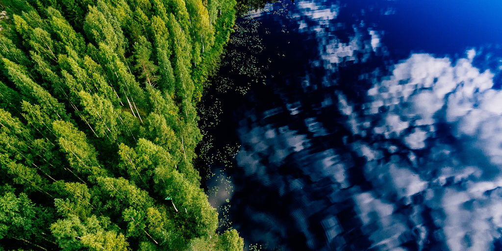 By improving and updating mill technology, the board and paper industry can significantly decrease its CO2 emissions 