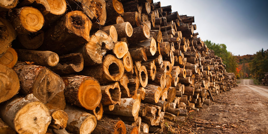 Today&rsquo;s innovations make it possible for mills to reduce their environmental impact 