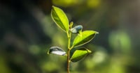 IR blog