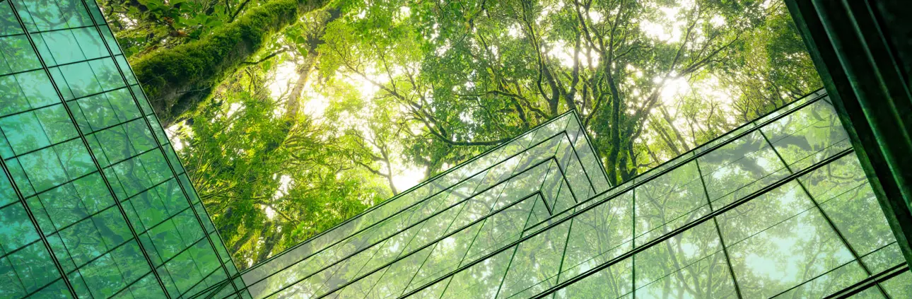 tall building overlooking trees