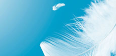 Pratt PM 16 in the USA: Light, strong and 100 % recycled
