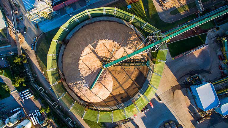 wood-chip-raw-material-pulp-mill.jpg