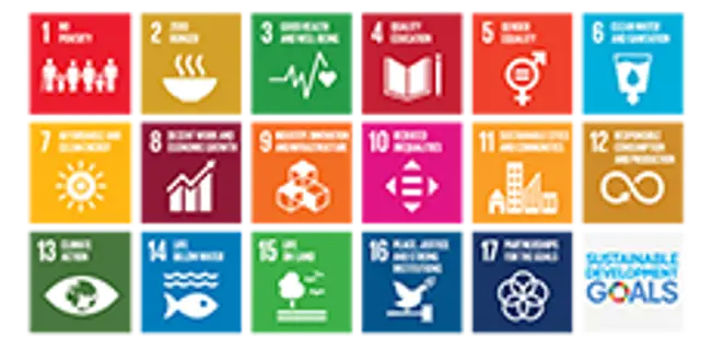 国連の持続可能な開発目標（UNSDGs）へのバルメットの影響