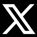 X logo