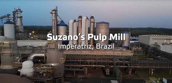 Suzano Imperatriz Shutdown