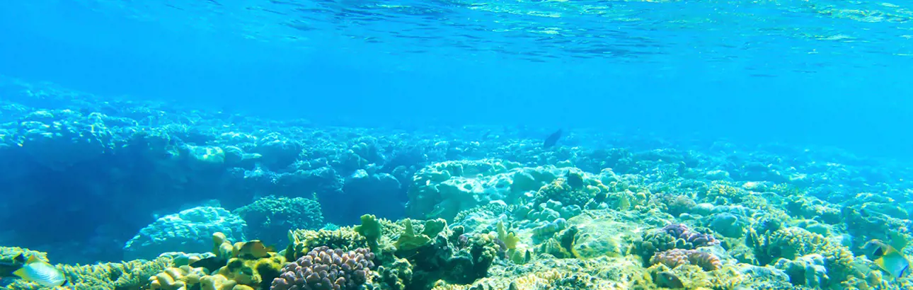 MarineWaterTreatmentSystem-1296x412px.jpg